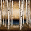 Birch Landing Poster Print by Patrick St.Germain - Item # VARPDX4118