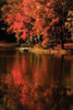 Red Reflections Poster Print by Alan Hausenflock - Item # VARPDXPSHSF257
