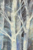 Winter Birches II Poster Print by Albena Hristova - Item # VARPDX23892