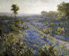 Field of Texas Bluebonnets and Prickly Pear Cacti Poster Print by  Julian Onderdonk - Item # VARPDX266954