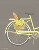 Bicycle I Poster Print by Gwendolyn Babbit - Item # VARPDXBAB190