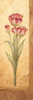 Grandiflora IV Poster Print by Pamela Gladding - Item # VARPDXGLA444