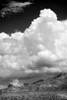Gathering Summer Storm BW Poster Print by Douglas Taylor - Item # VARPDXPSTLR502