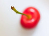 Close-up of cherry, studio shot Poster Print by  Assaf Frank - Item # VARPDXAF20050606068
