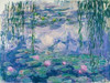 Waterlilies Poster Print by Claude Monet - Item # VARPDX3CM007