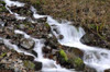 Stream Falls V Poster Print by Logan Thomas - Item # VARPDXPSTMS112