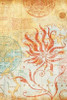 Map Wallflower II Poster Print by Elizabeth Medley - Item # VARPDX8971K