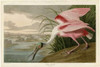 http://c328301.r1.cf1.rackcdn.com/PDXJJA321SMALL.jpg