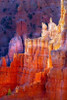 Bryce Canyon Dawn Poster Print by Douglas Taylor - Item # VARPDXPSTLR191