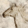 Stallion I Poster Print by Janel Pahl