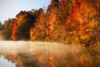 Autumn Mist IV Poster Print by Alan Hausenflock - Item # VARPDXPSHSF962