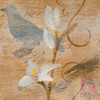 Morning Song I Poster Print by Lanie Loreth - Item # VARPDX7519A
