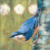 Life Nuthatch Poster Print by Molly Reeves - Item # VARPDXRVS109