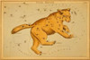 Ursa Major 1825 Poster Print by  Jehoshaphat Aspin - Item # VARPDX341841