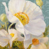 Sunbeam Flowers I Poster Print by Lanie Loreth - Item # VARPDX8312B