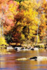 Autumn on the River II Poster Print by Alan Hausenflock - Item # VARPDXPSHSF573