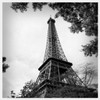 Last Day in Paris Poster Print by Emily Navas - Item # VARPDX8715AA