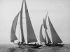 Sailboats Race during Yacht Club Cruise Poster Print by Edwin Levick - Item # VARPDX3LE955