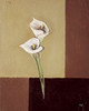 Calla lilly on brown Poster Print by Hedy - Item # VARPDXMLV021 Calla lilly on brown Poster Print by Hedy - Item # VARPDXMLV021