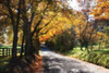 Country Road II Poster Print by Alan Hausenflock - Item # VARPDXPSHSF938