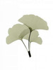 Ginko I Poster Print by  ACEE - Item # VARPDXACP200