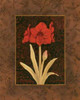 Damask Amaryllis Poster Print by Paul Brent - Item # VARPDXBNT078