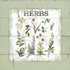 Shiplap Herbs Poster Print by  Carol Robinson - Item # VARPDX17475
