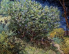 Lilacs Poster Print by  Vincent Van Gogh - Item # VARPDX281280