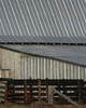 Big Barn I Poster Print by Scott Larson - Item # VARPDXPSLAR100