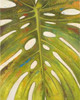 Tropical Leaf II Poster Print by Patricia Pinto - Item # VARPDX8209