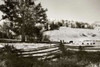 Autumn Pastures I Poster Print by Alan Hausenflock - Item # VARPDXPSHSF897
