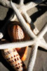 http://c328301.r1.cf1.rackcdn.com/PDXPSHSF1199LARGE.jpg