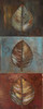 New Leaf Panel I - Vertical Poster Print by Patricia Pinto - Item # VARPDX6462V820