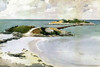 Gallows Island Poster Print by  Winslow Homer - Item # VARPDX278020