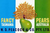 Peacock Pears Poster Print by Retrolabel - Item # VARPDX376029