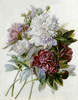 A Bouquet of Red Pink and White Peonies Poster Print by  Pierre Joseph Redoute - Item # VARPDX267094