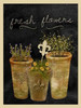 Fresh Flowers I Poster Print by Beth Albert - Item # VARPDXBA1159