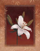Tiger Lily Poster Print by Vivien Rhyan