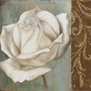 Rose II Poster Print by  Patricia Pinto - Item # VARPDX6198A