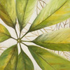 Fresh Leaves II Poster Print by Patricia Pinto - Item # VARPDX7834