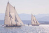 Port Townsend Boats II Poster Print by Kathy Mahan - Item # VARPDXPSMHN129