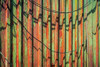 Cannery Wall Poster Print by Kathy Mahan - Item # VARPDXPSMHN512
