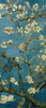 Blossoming Almond Tree - center Poster Print by  Vincent Van Gogh - Item # VARPDX394107