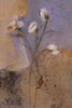 Flowers of June Series I Poster Print by Miquela Nicolau - Item # VARPDXNMP203