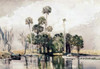 Exotic Island Poster Print by  Winslow Homer - Item # VARPDX278033
