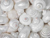 Mixed pearly sea shells close-up Poster Print by  Assaf Frank - Item # VARPDXAF20090508076