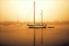 http://c328301.r1.cf1.rackcdn.com/PDXPSHSF315SMALL.jpg