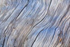 Weathered Wood IV Poster Print by Kathy Mahan - Item # VARPDXPSMHN493