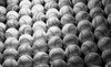 Baseballs I Poster Print by Tammy Putman - Item # VARPDXPSPTM159