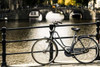 Amsterdam Gray Bicycle Poster Print by Erin Berzel - Item # VARPDXPSBZL985